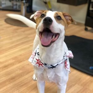 Meet your Posher, Andy